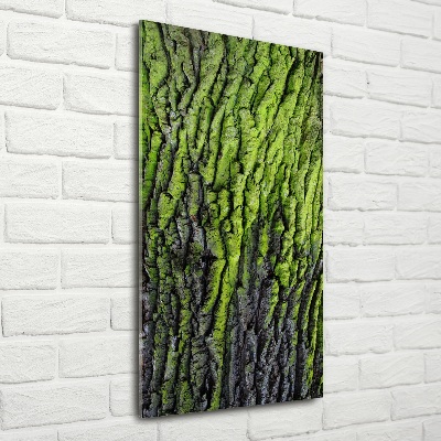 Quadro stampa su vetro verticale Corteccia d'albero