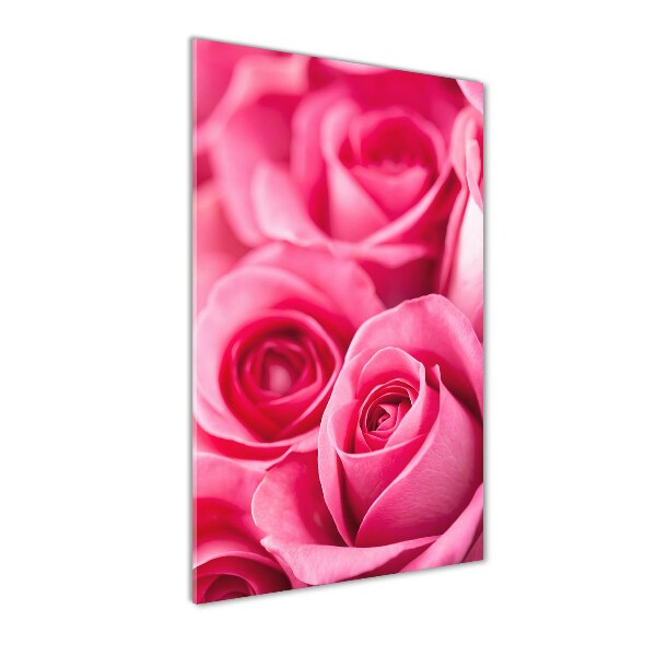 Quadro vetro verticale Rose rosa