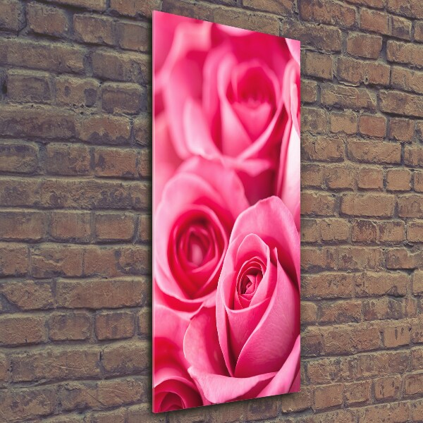 Quadro vetro verticale Rose rosa