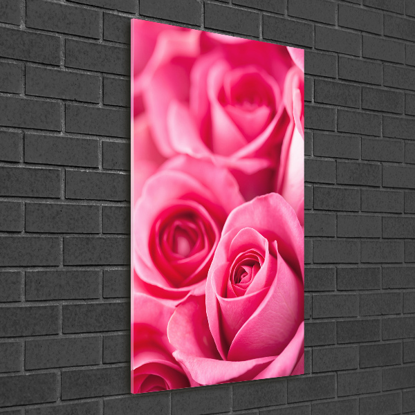 Quadro vetro verticale Rose rosa