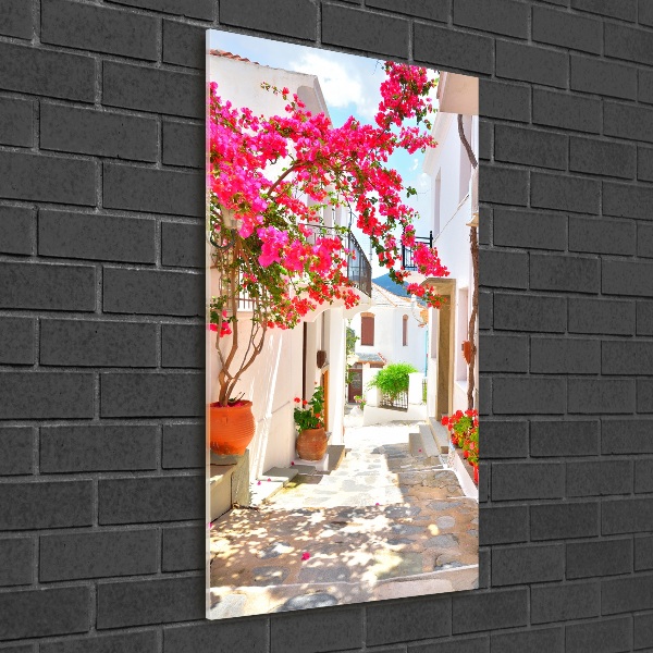Quadro stampa su vetro verticale Strade greche