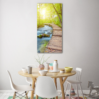 Quadro vetro verticale Sentiero nella foresta