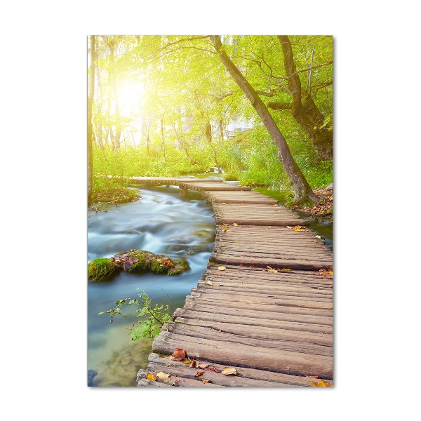 Quadro vetro verticale Sentiero nella foresta