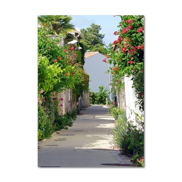 Quadro in vetro verticale Strade francesi