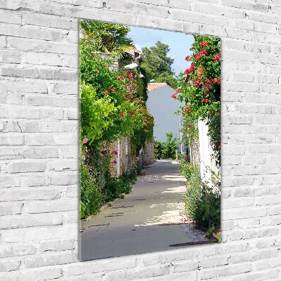 Quadro in vetro verticale Strade francesi