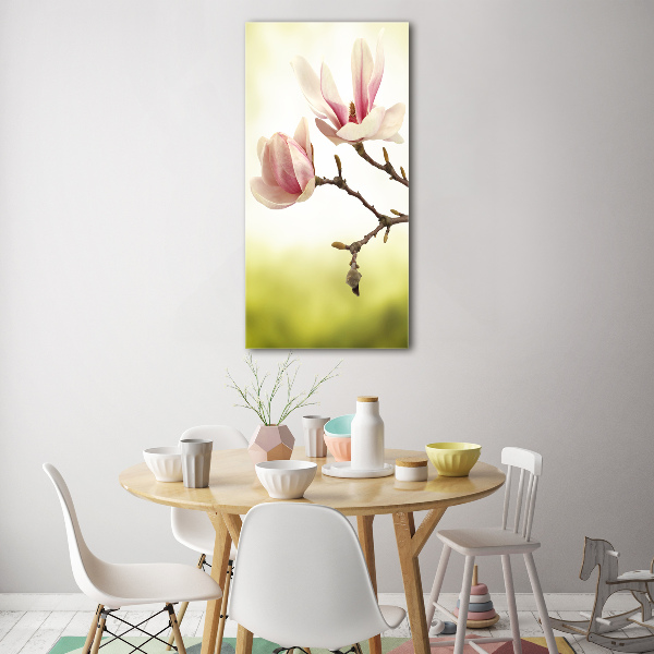 Quadro di vetro verticale Fiori di magnolia