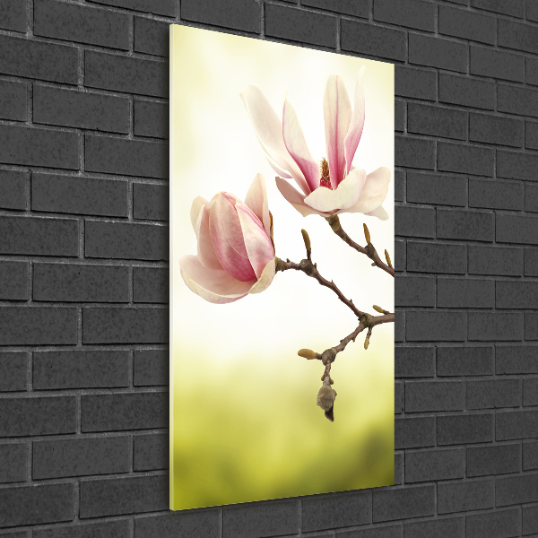 Quadro di vetro verticale Fiori di magnolia