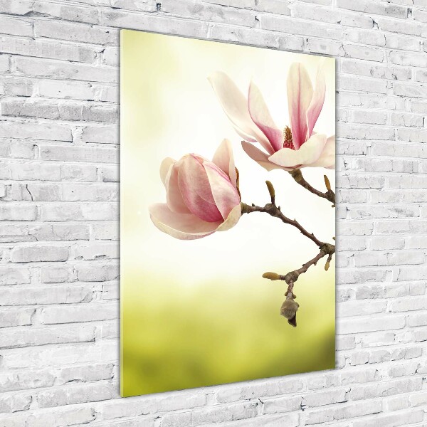 Quadro di vetro verticale Fiori di magnolia