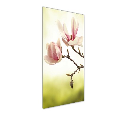 Quadro di vetro verticale Fiori di magnolia