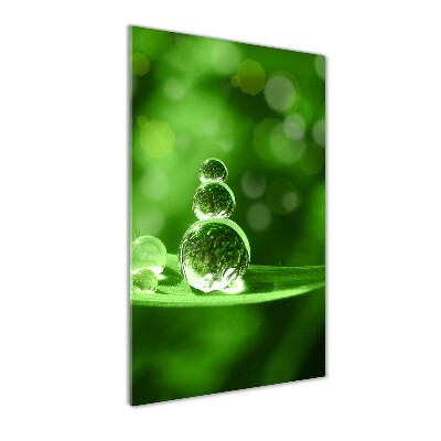 Quadro stampa su vetro verticale Gocce sull'erba