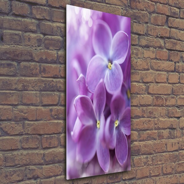 Quadro vetro verticale Fiori di lillà