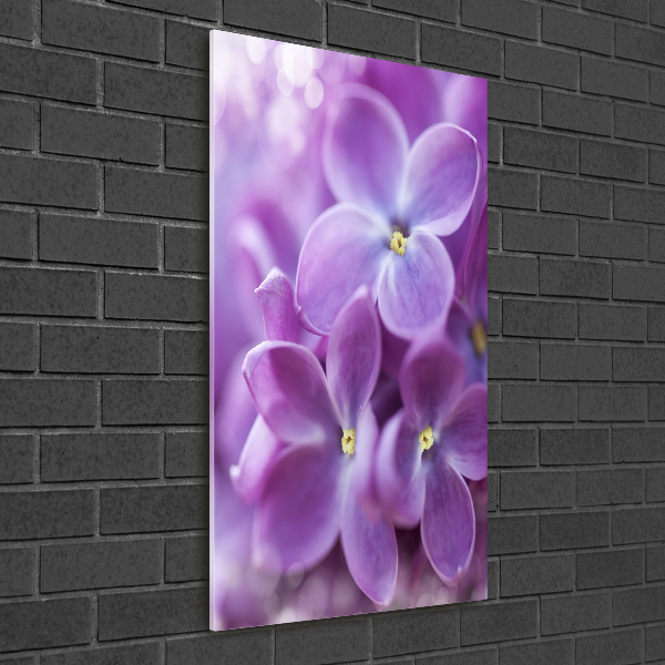 Quadro vetro verticale Fiori di lillà