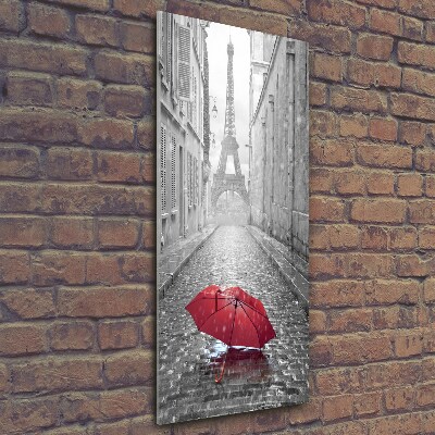 Quadro di vetro verticale Ombrello Francia