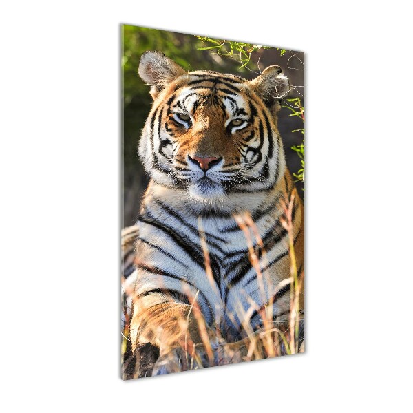 Quadro vetro verticale Tigre