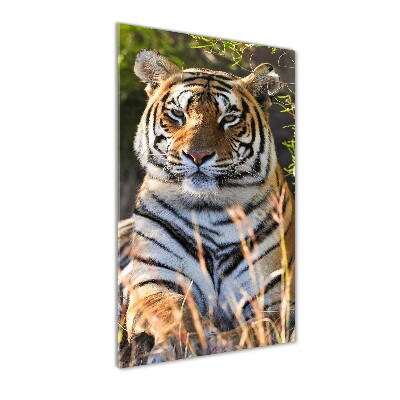 Quadro vetro verticale Tigre