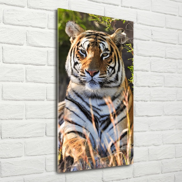 Quadro vetro verticale Tigre