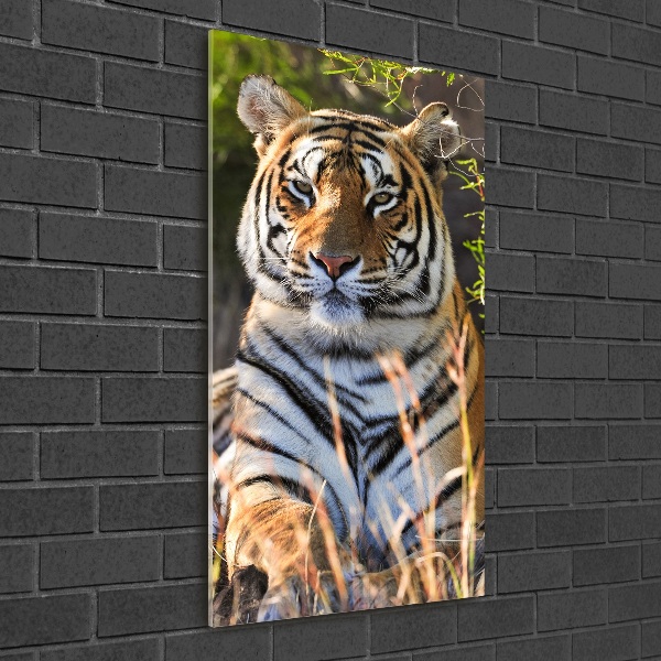 Quadro vetro verticale Tigre