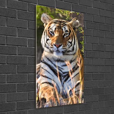 Quadro vetro verticale Tigre