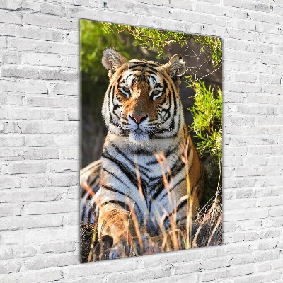 Quadro vetro verticale Tigre