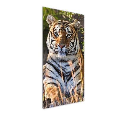 Quadro vetro verticale Tigre