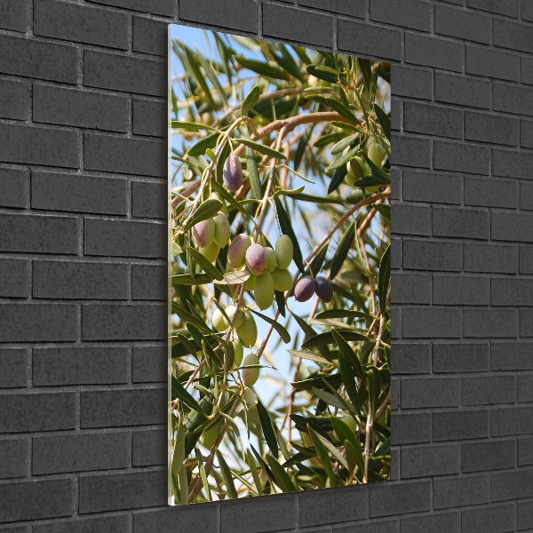 Quadro stampa su vetro verticale Olive sull'albero