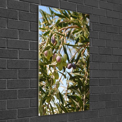 Quadro stampa su vetro verticale Olive sull'albero