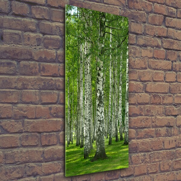 Quadro stampa su vetro verticale Foresta di betulle
