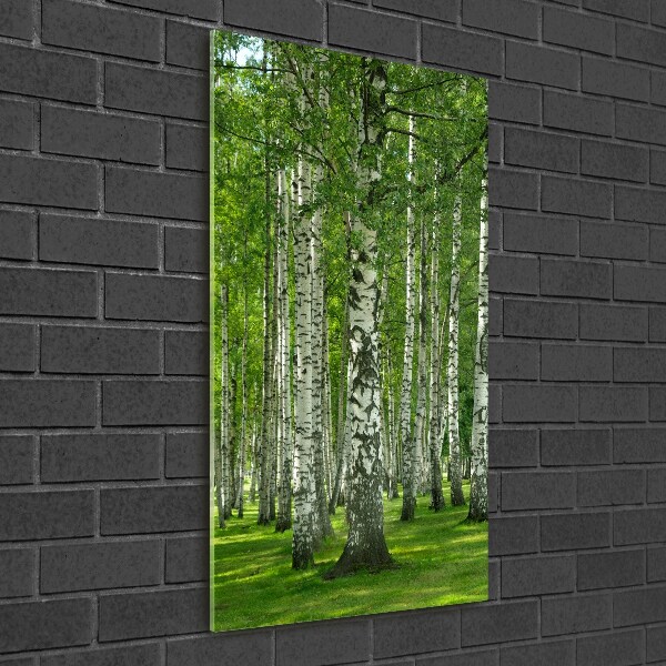 Quadro stampa su vetro verticale Foresta di betulle