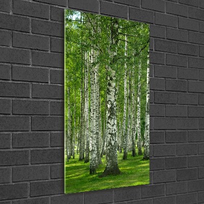 Quadro stampa su vetro verticale Foresta di betulle