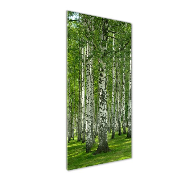 Quadro stampa su vetro verticale Foresta di betulle