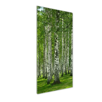 Quadro stampa su vetro verticale Foresta di betulle