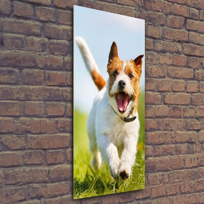 Quadro stampa su vetro verticale Cane Jack Russell