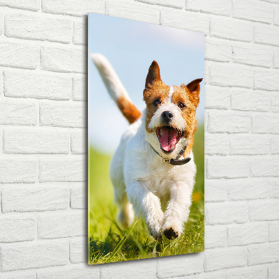 Quadro stampa su vetro verticale Cane Jack Russell