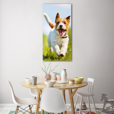 Quadro stampa su vetro verticale Cane Jack Russell