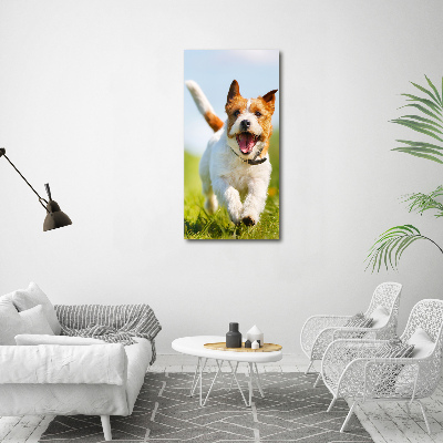 Quadro stampa su vetro verticale Cane Jack Russell