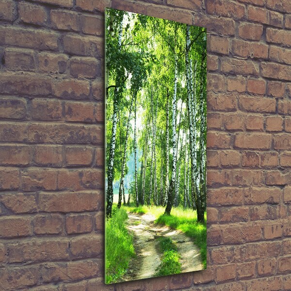 Quadro in vetro verticale Foresta di betulle