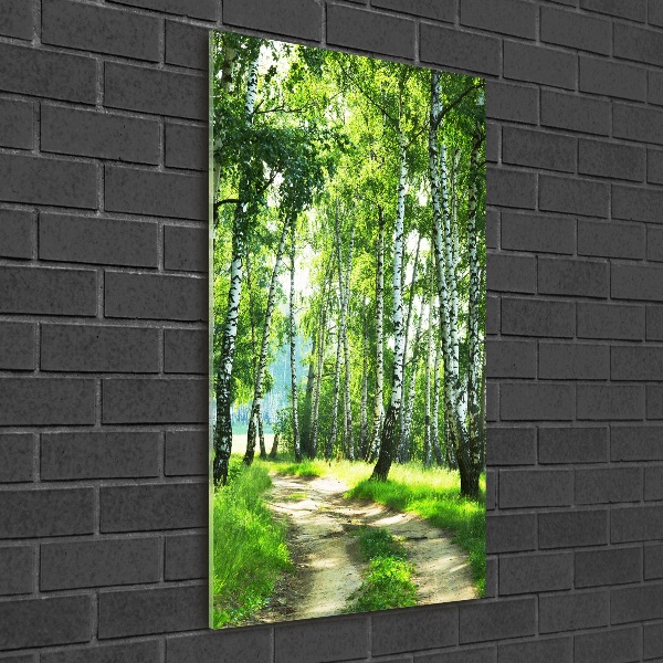 Quadro in vetro verticale Foresta di betulle