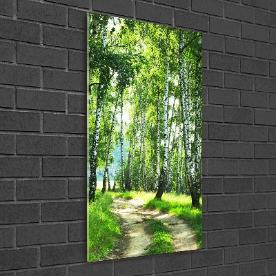 Quadro in vetro verticale Foresta di betulle