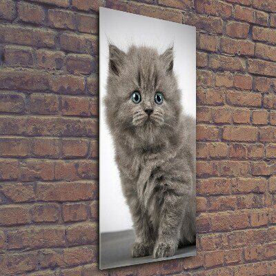Quadro in vetro verticale Gatto grigio britannico