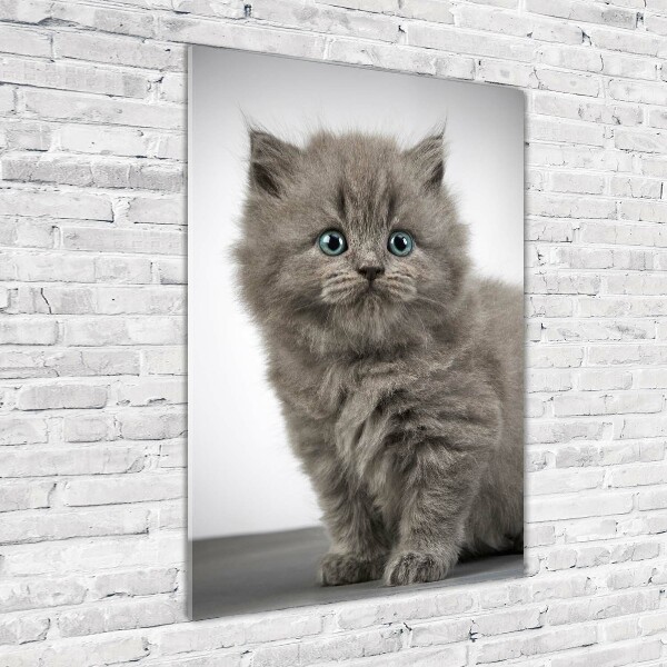 Quadro in vetro verticale Gatto grigio britannico