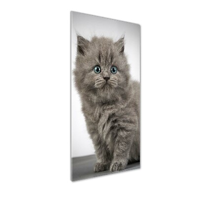 Quadro in vetro verticale Gatto grigio britannico