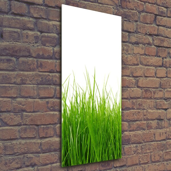 Quadro vetro verticale Erba verde