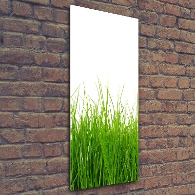 Quadro vetro verticale Erba verde