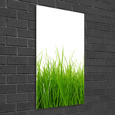 Quadro vetro verticale Erba verde