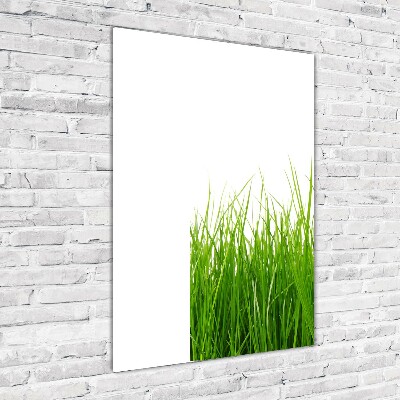 Quadro vetro verticale Erba verde