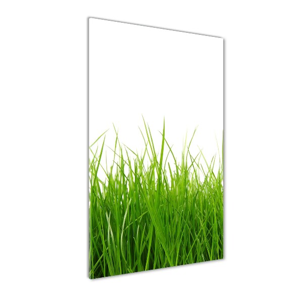 Quadro vetro verticale Erba verde