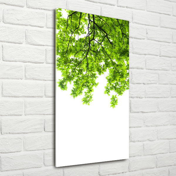 Quadro in vetro verticale Chioma dell'albero