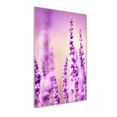 Quadro vetro verticale Lavanda