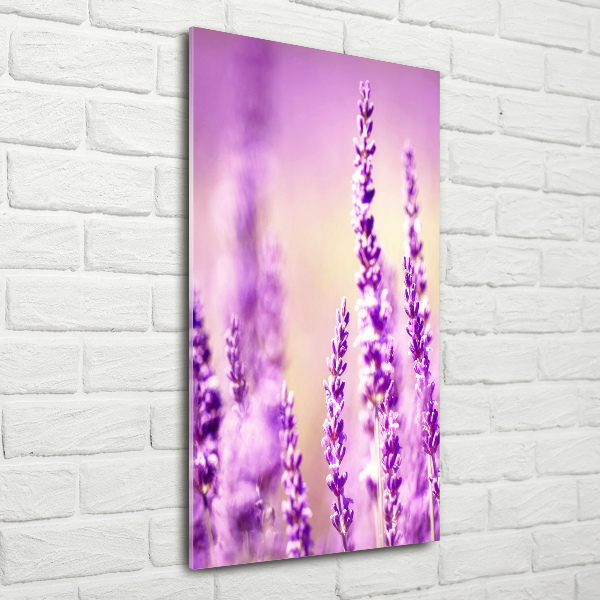 Quadro vetro verticale Lavanda