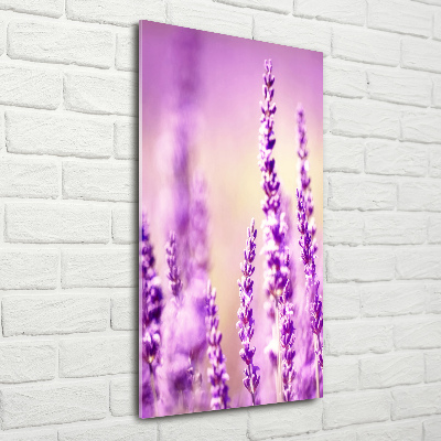 Quadro vetro verticale Lavanda